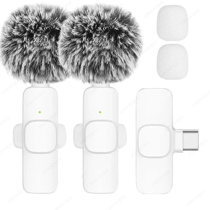 Wireless Lavalier Microphone Portable Mini Clip-On Mic for Recording & Live Use